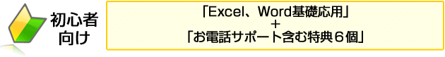 初心者向けExcel、Word基礎応用+特典６個