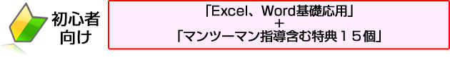 初心者向けExcel、Word基礎応用+特典１５個