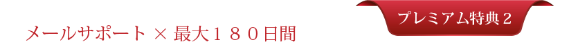 プレミアム特典＃２：メールサポート×最大１８０日間